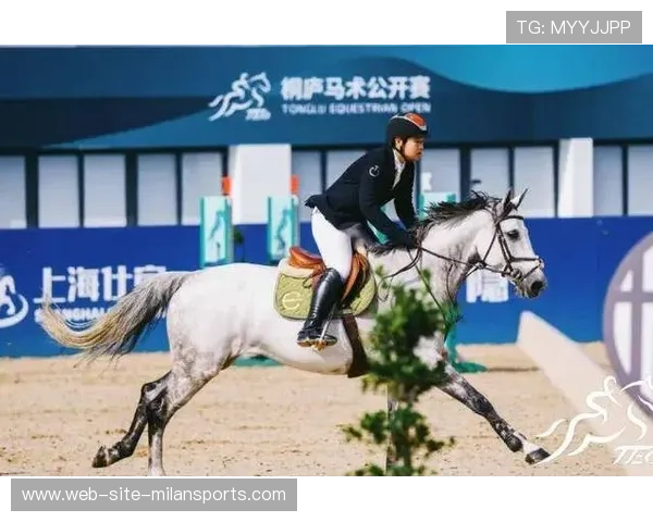 中国马术队史上最大投资曝光