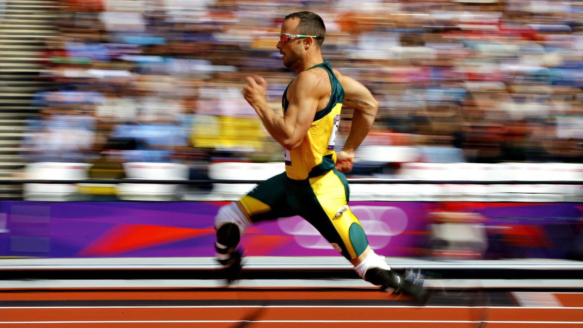 多项体育赛事在本周举行